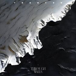 Cover of Through Walls