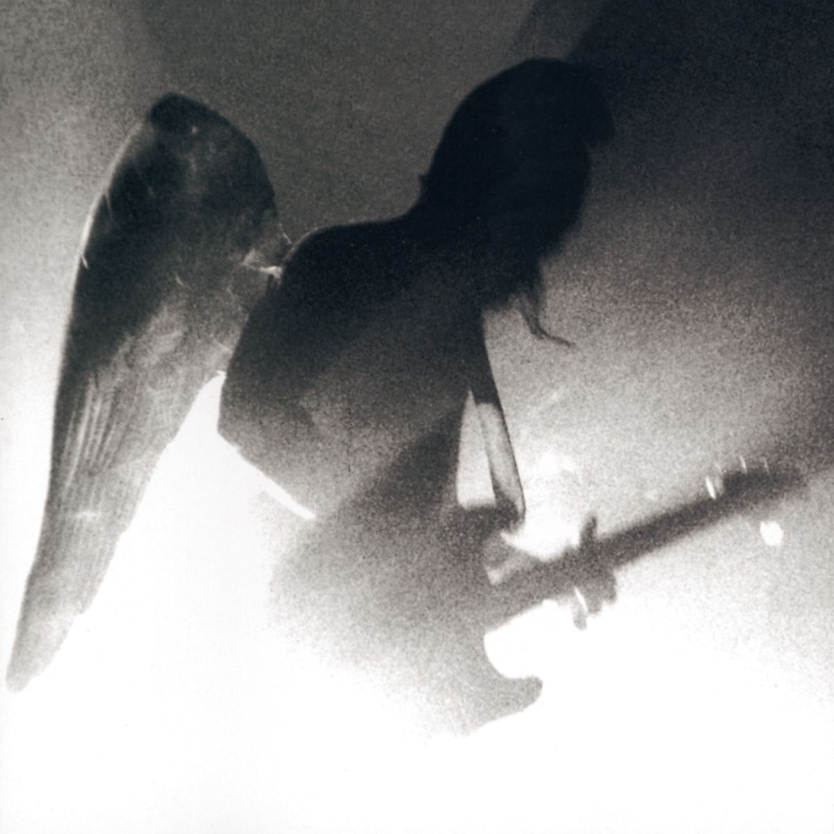 Album cover of Silver Groover