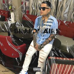 Cover of Billionaire
