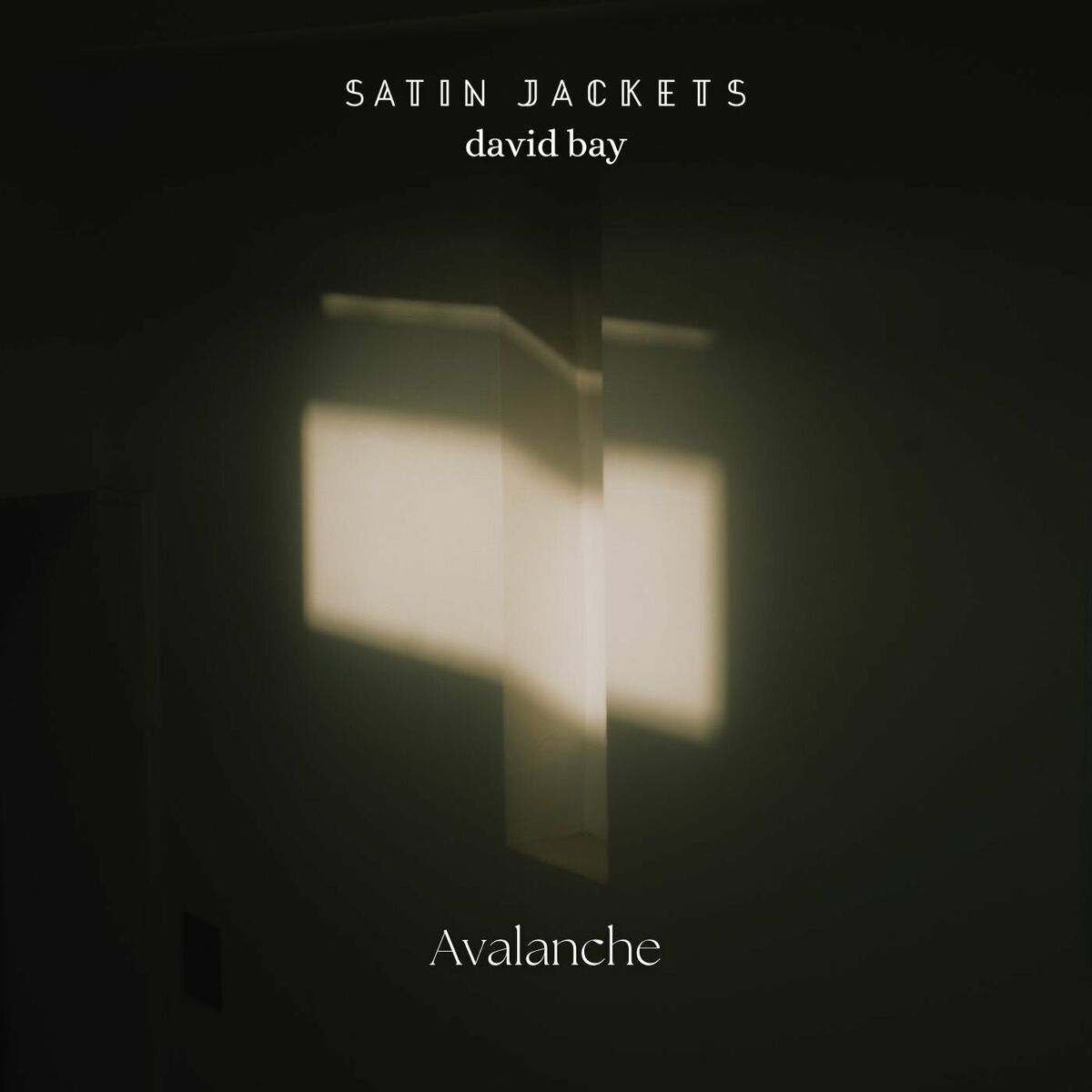 Album cover of Avalanche
