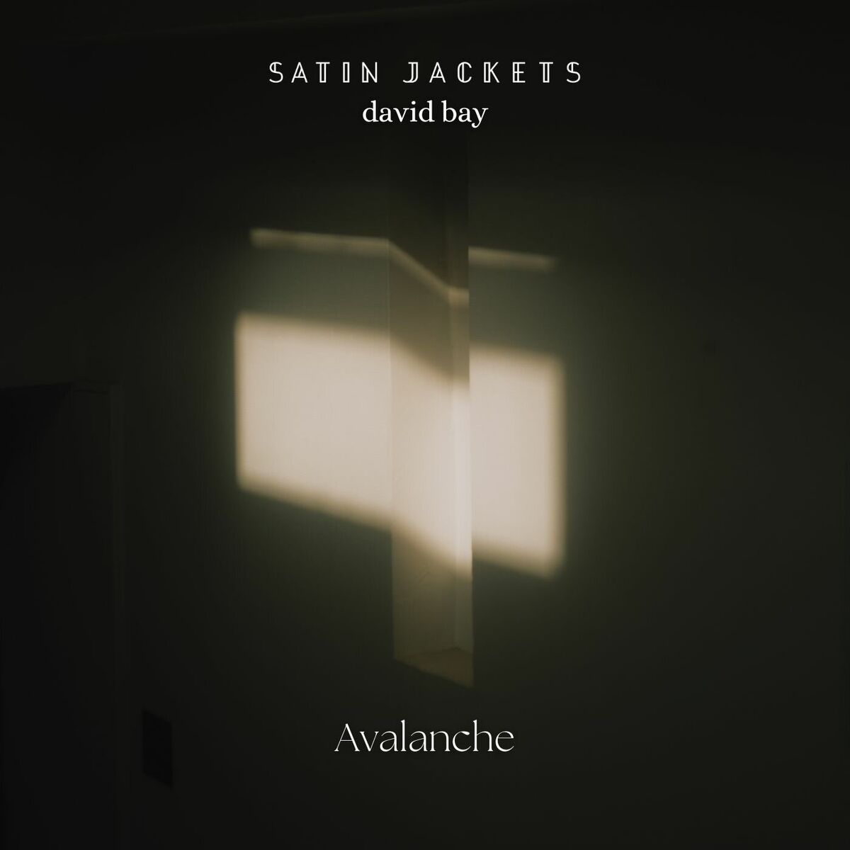 Album cover of Avalanche