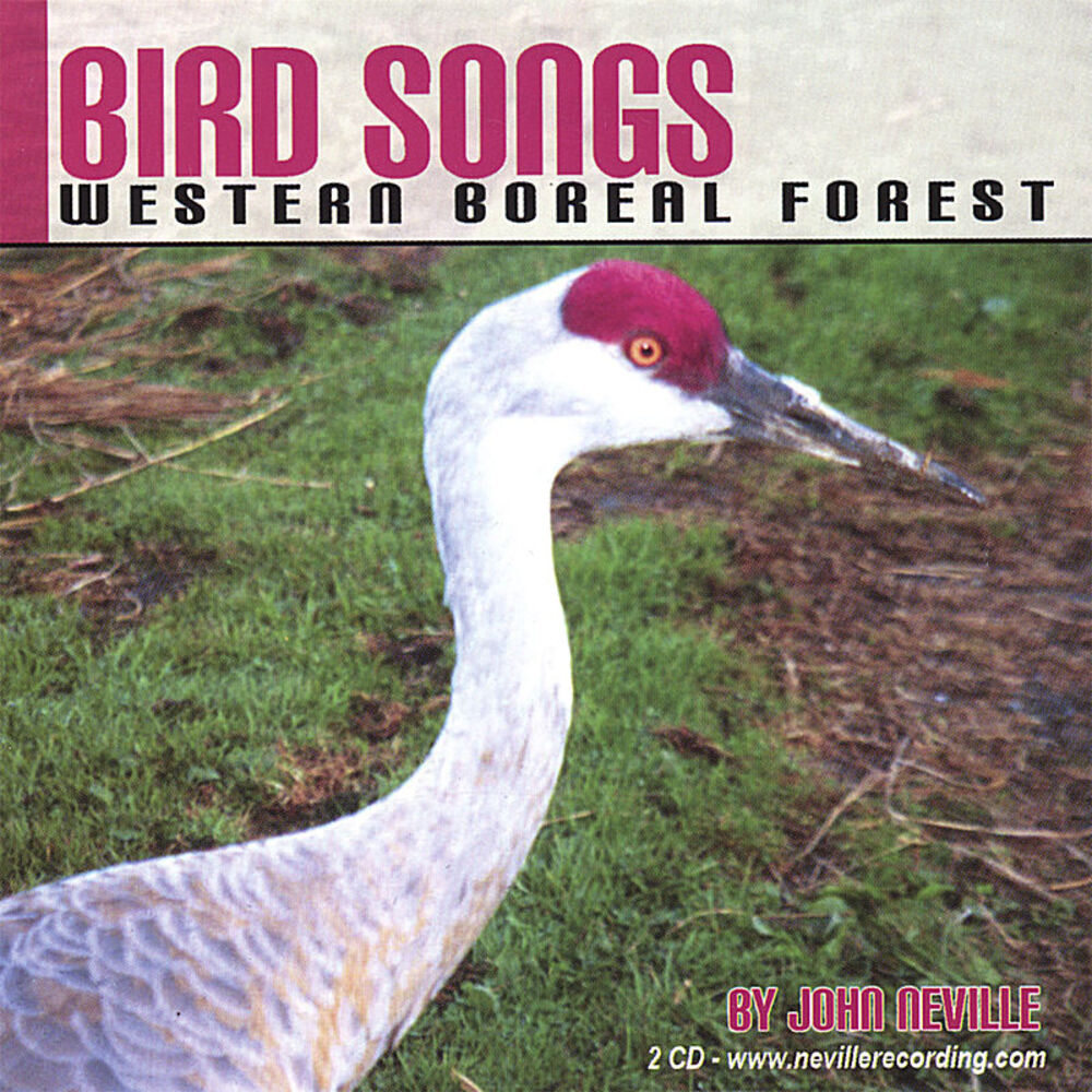 Picture of Bird Songs-Western Boreal Forest