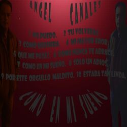 Cover of Como en Mi Sueño