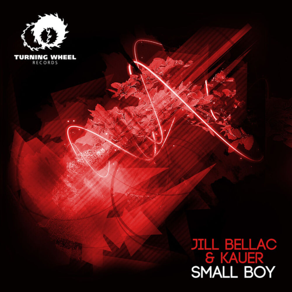 Picture of Small Boy