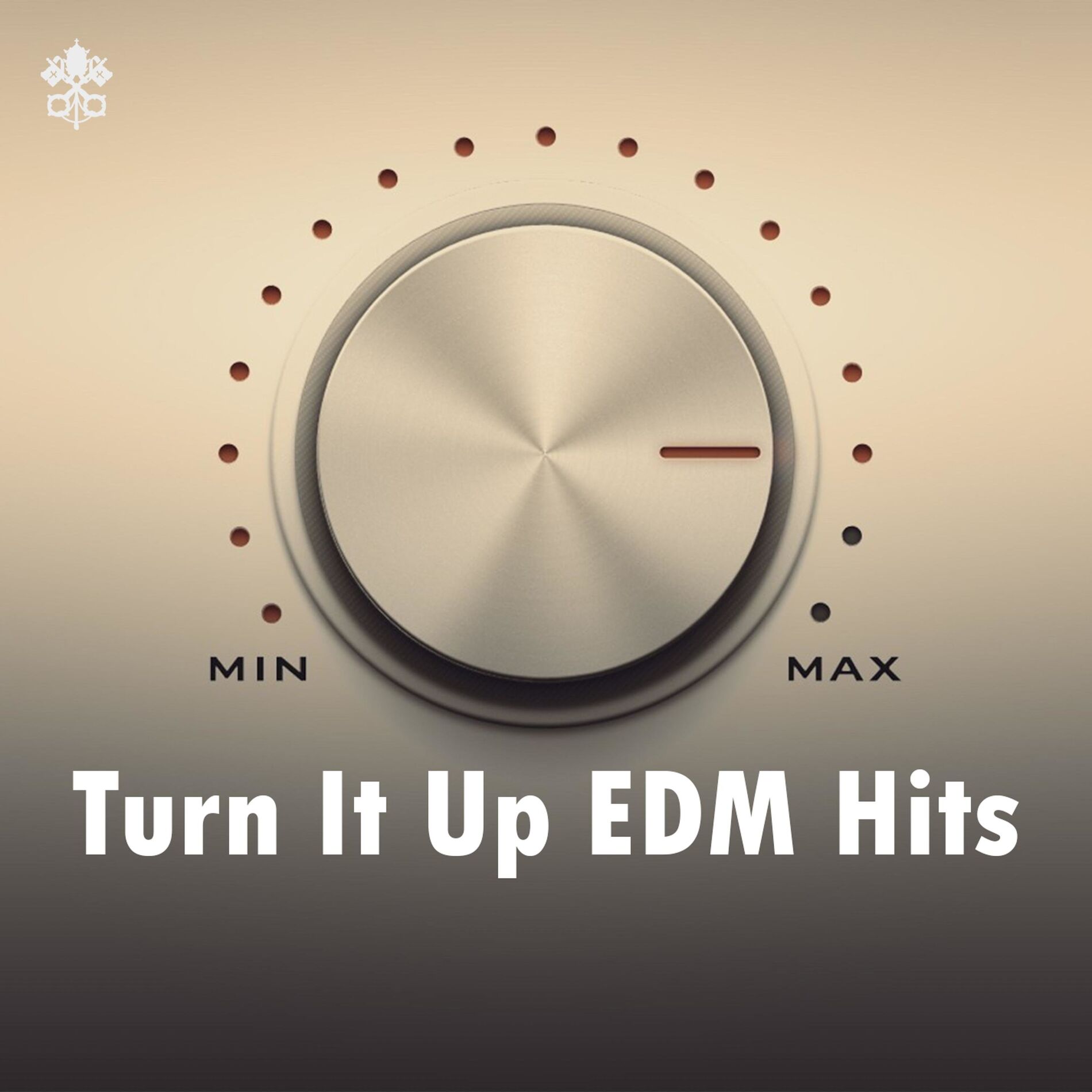 Album cover of Turn it Up EDM Hits