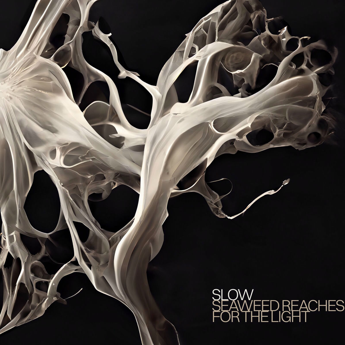 Album cover of Seaweed Reaches for the Light