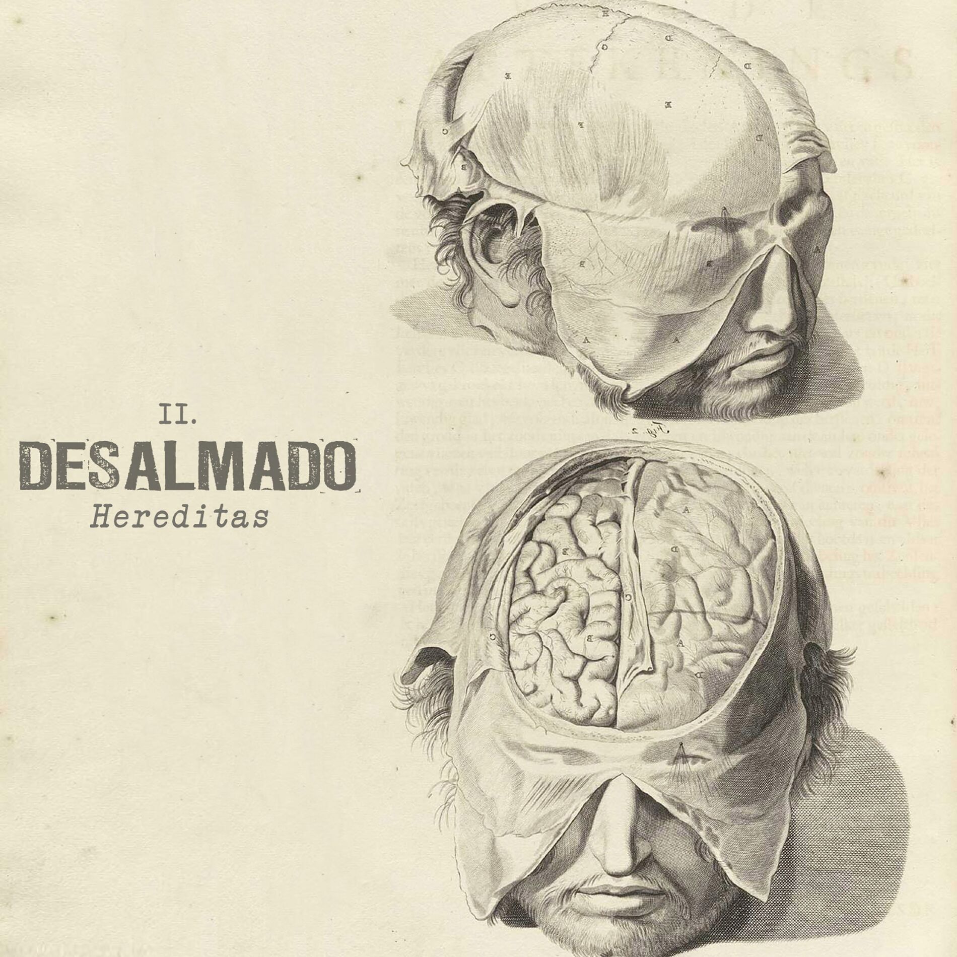Album cover of Hereditas