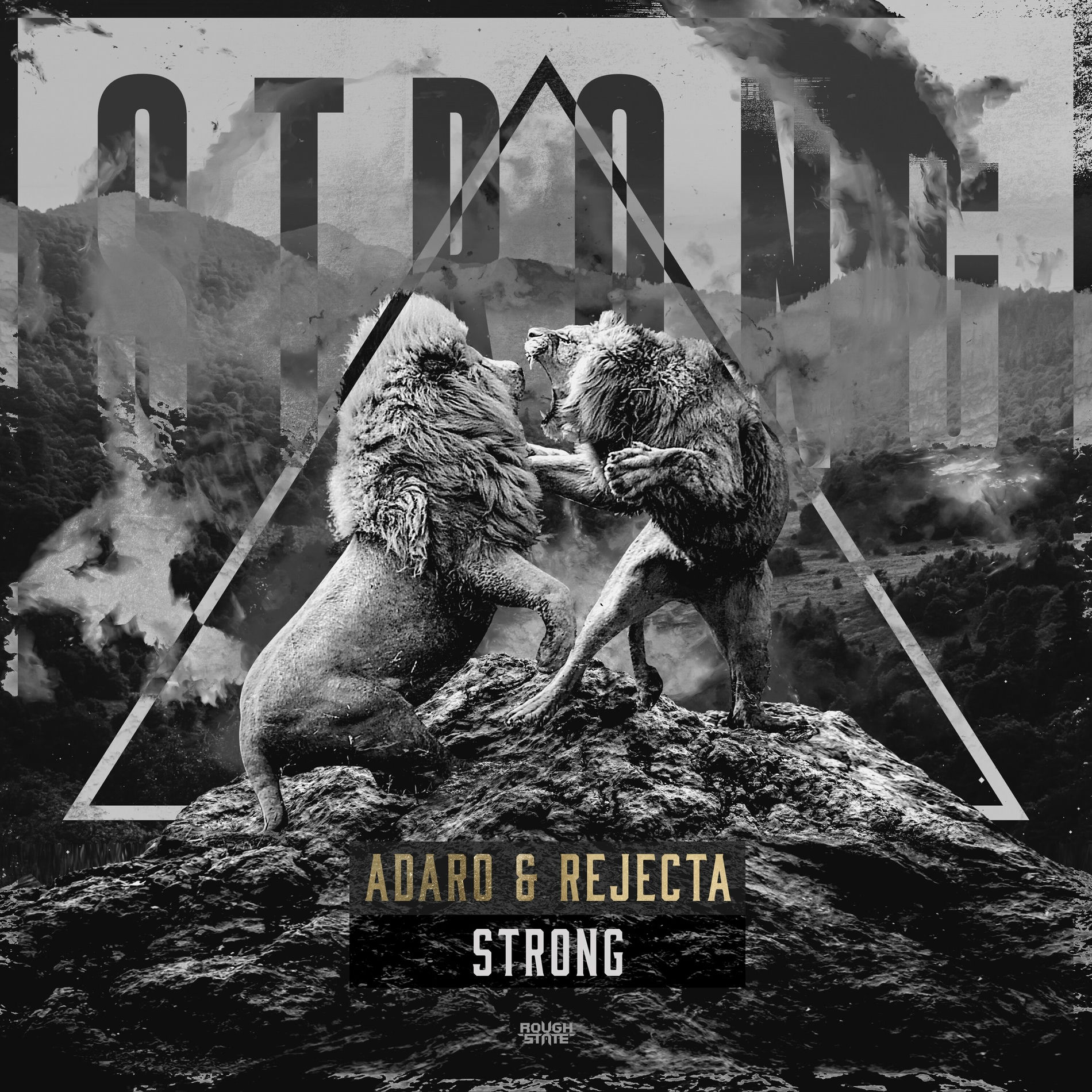 Album cover of Strong