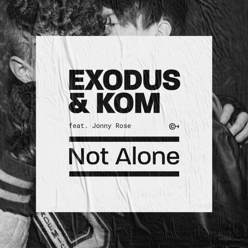 Picture of Not Alone