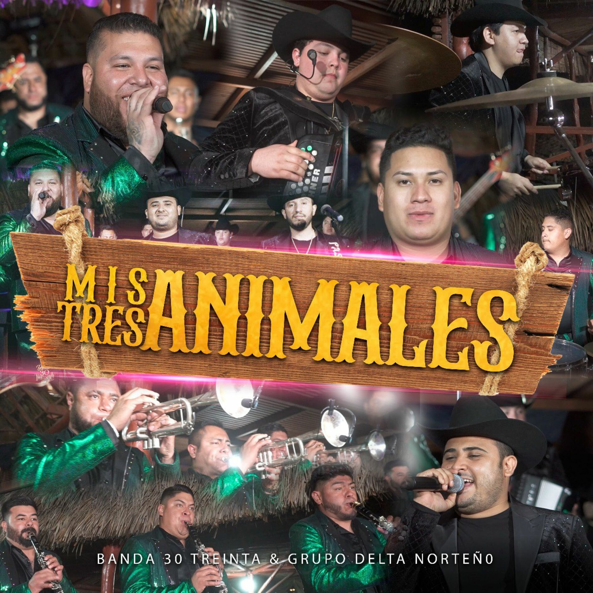 Album cover of Mis Tres Animales