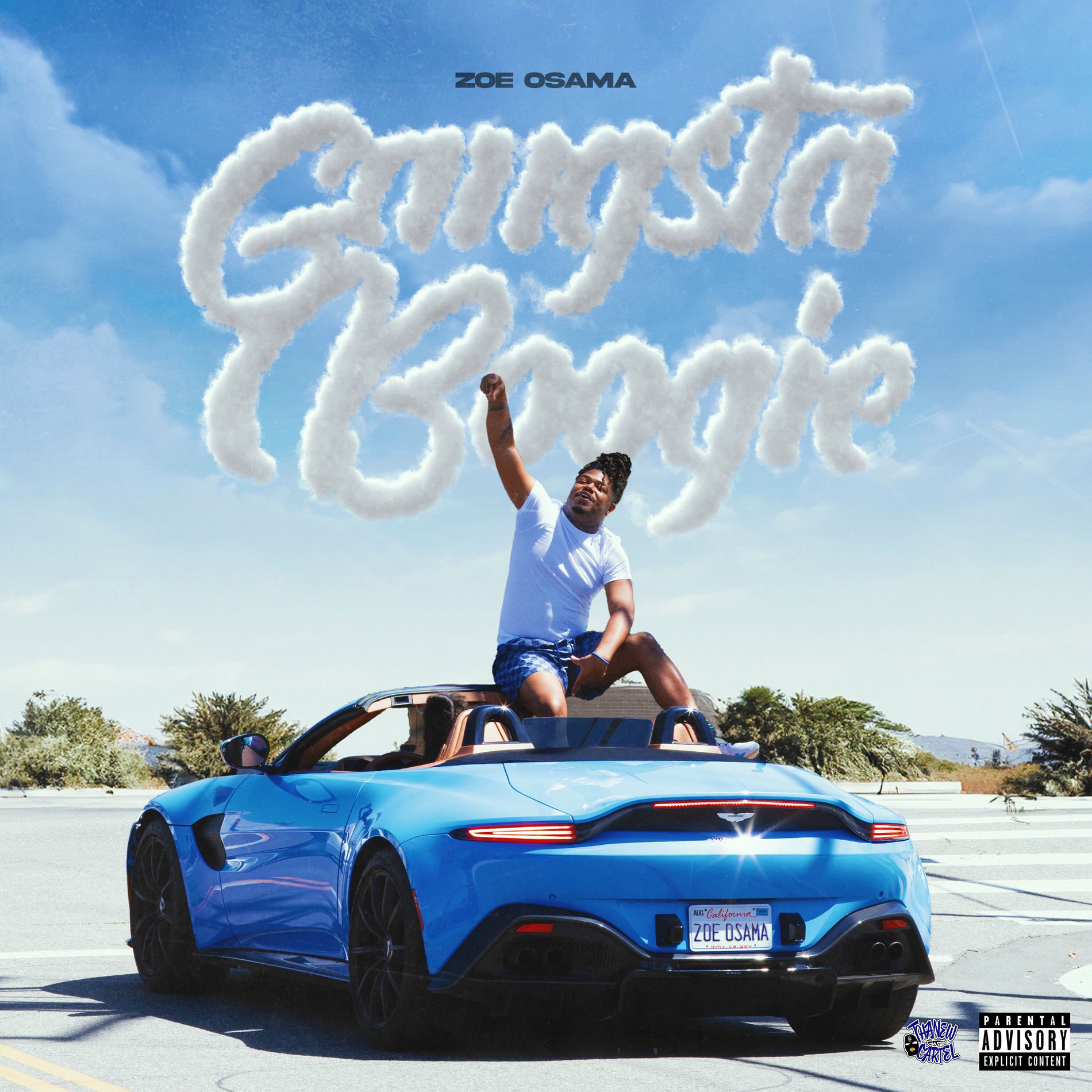 Album cover of Gangsta Boogie