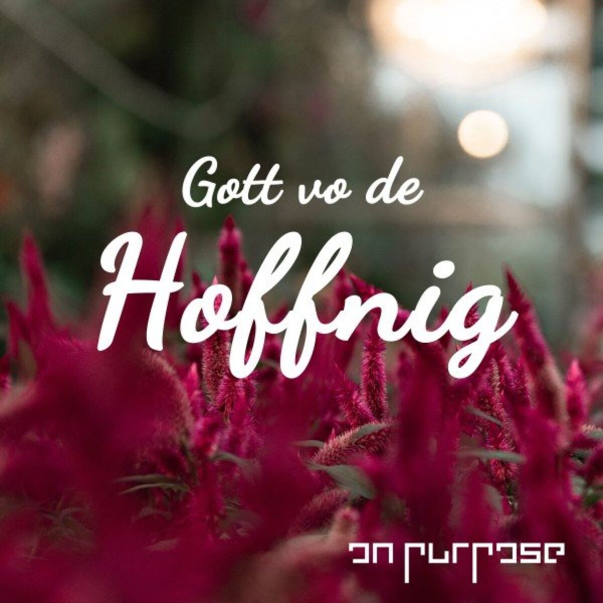 Album cover of Gott vo de Hoffnig