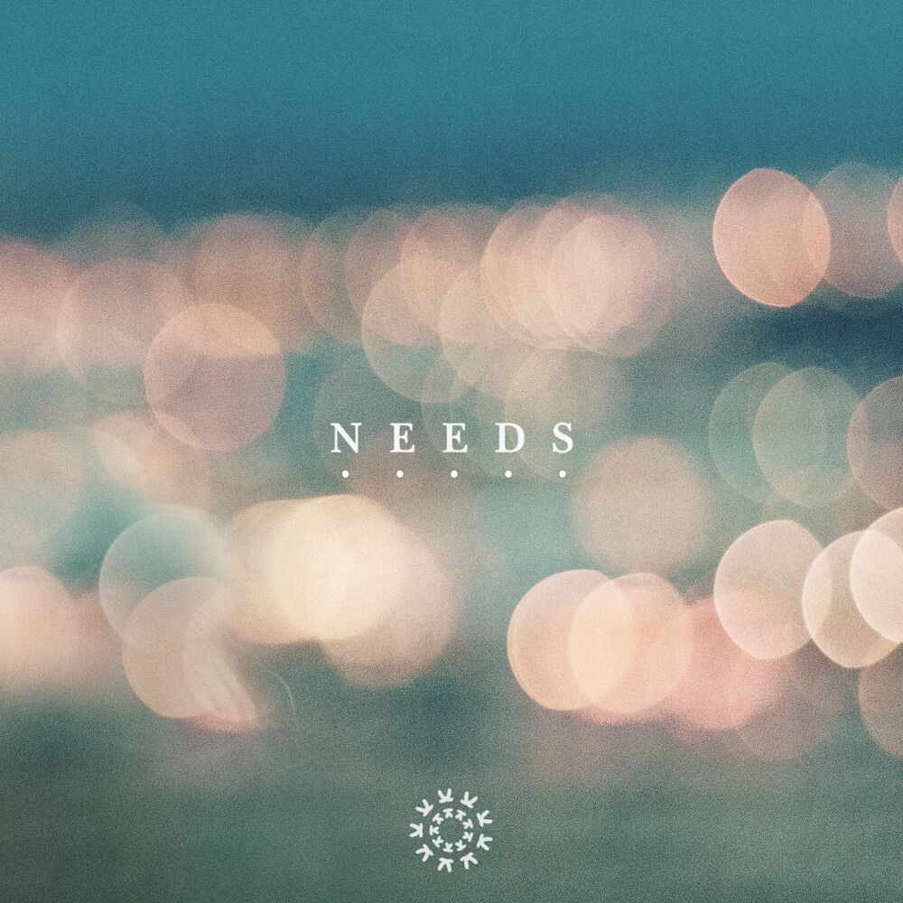 Picture of Needs (feat. Mac Ayres)