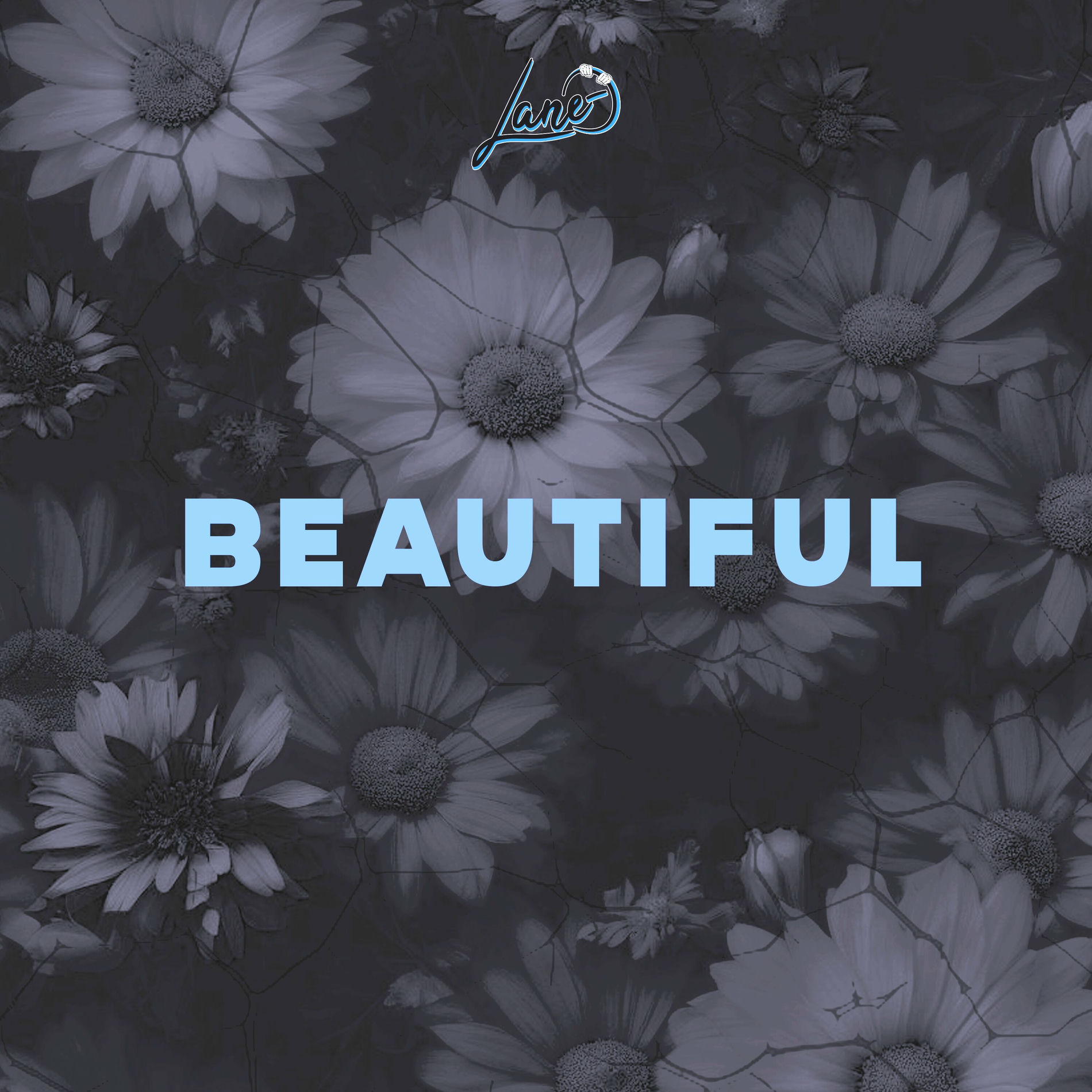 Album cover of Beautiful
