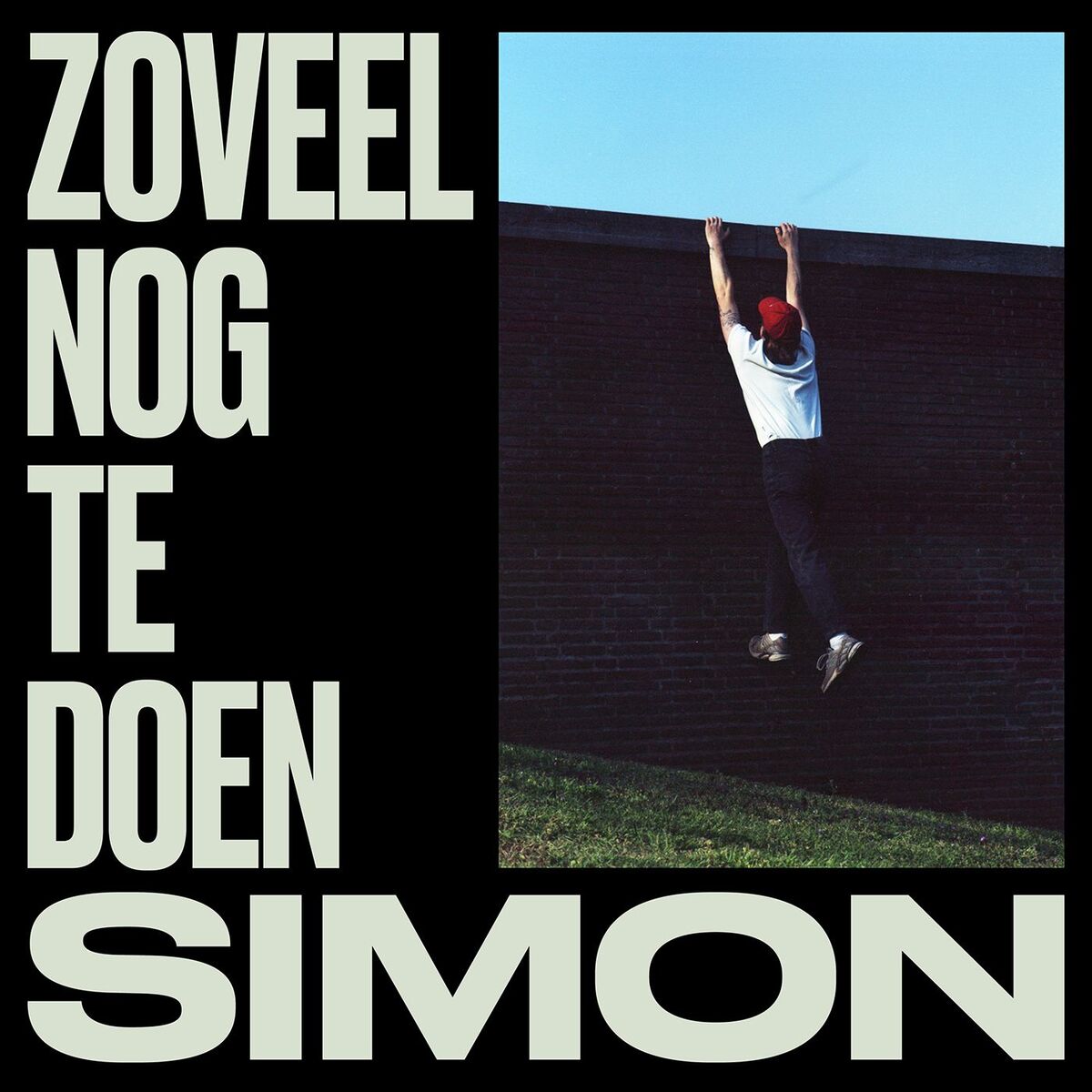 Album cover of Zoveel Nog Te Doen