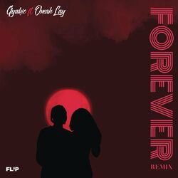 Cover of Forever (Remix)