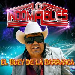 Cover of El Buey de La Barranca