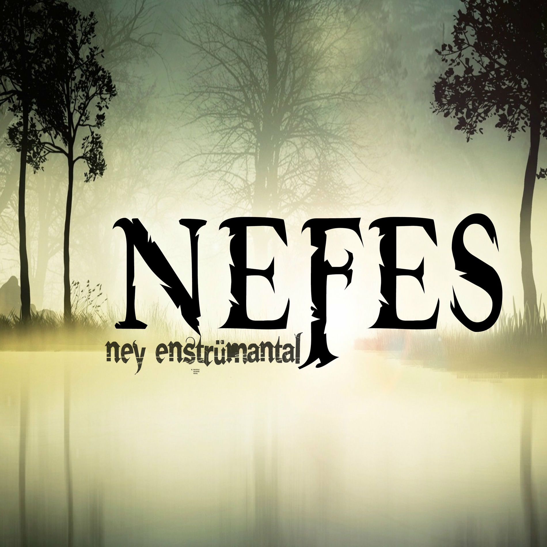 Album cover of Nefes (Ney Enstrümantal)