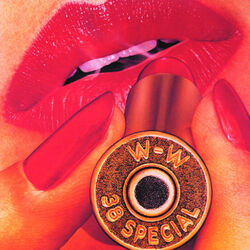 Cover of Rockin' Into The Night