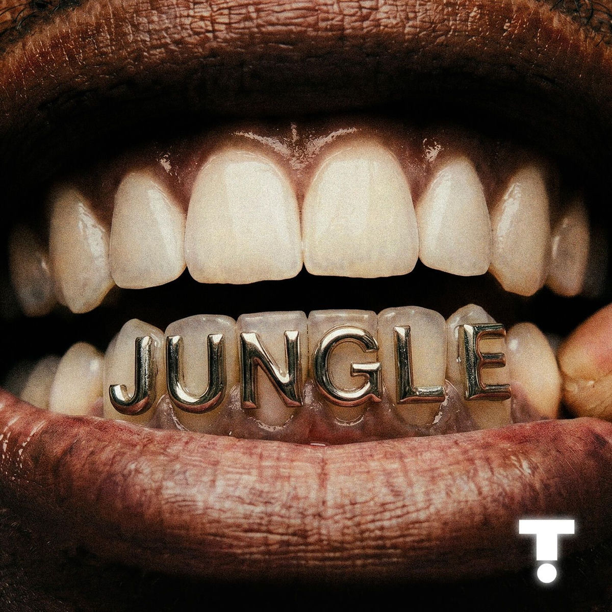 Album cover of Jungle
