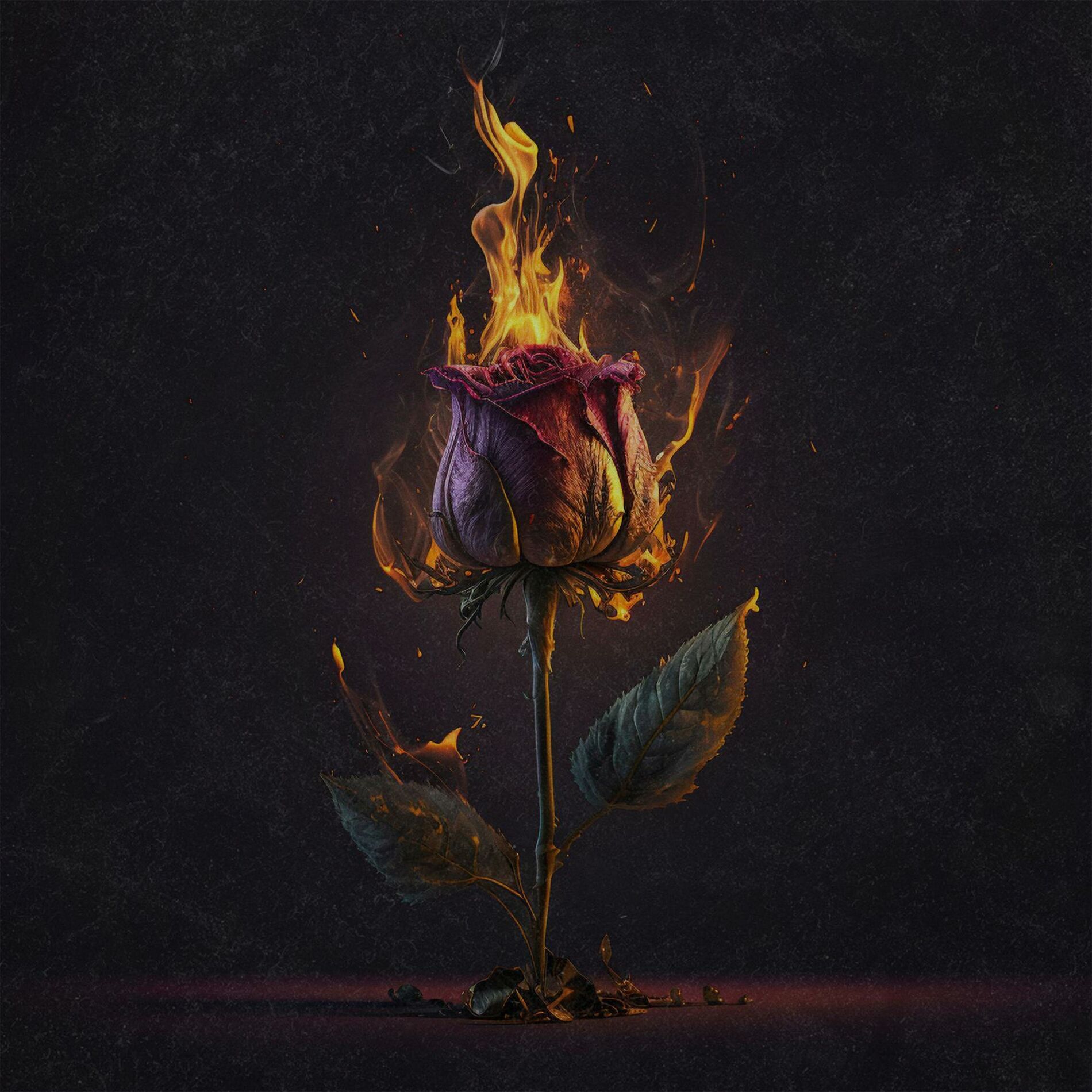 Album cover of Anytime Anywhere