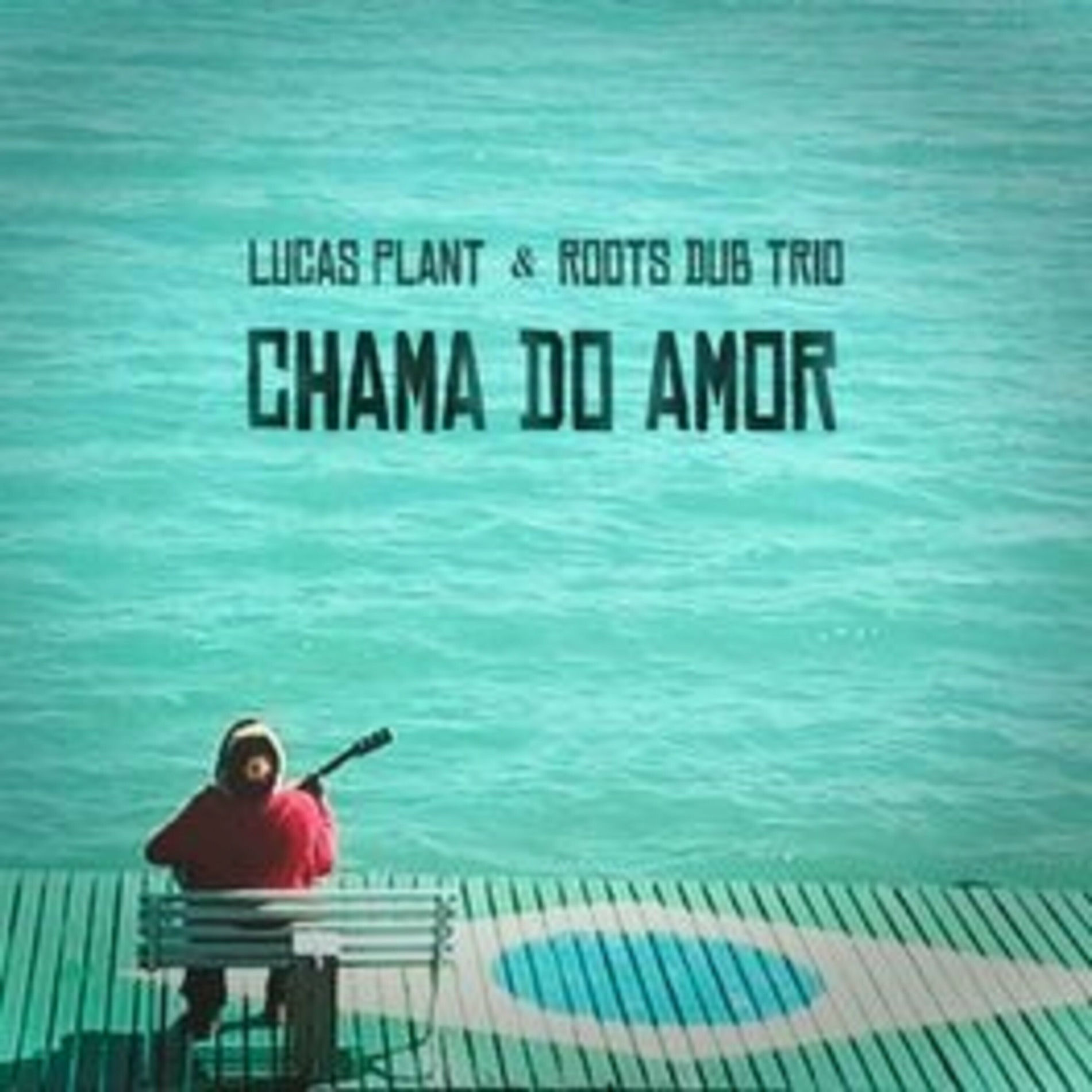 Album cover of Chama do Amor