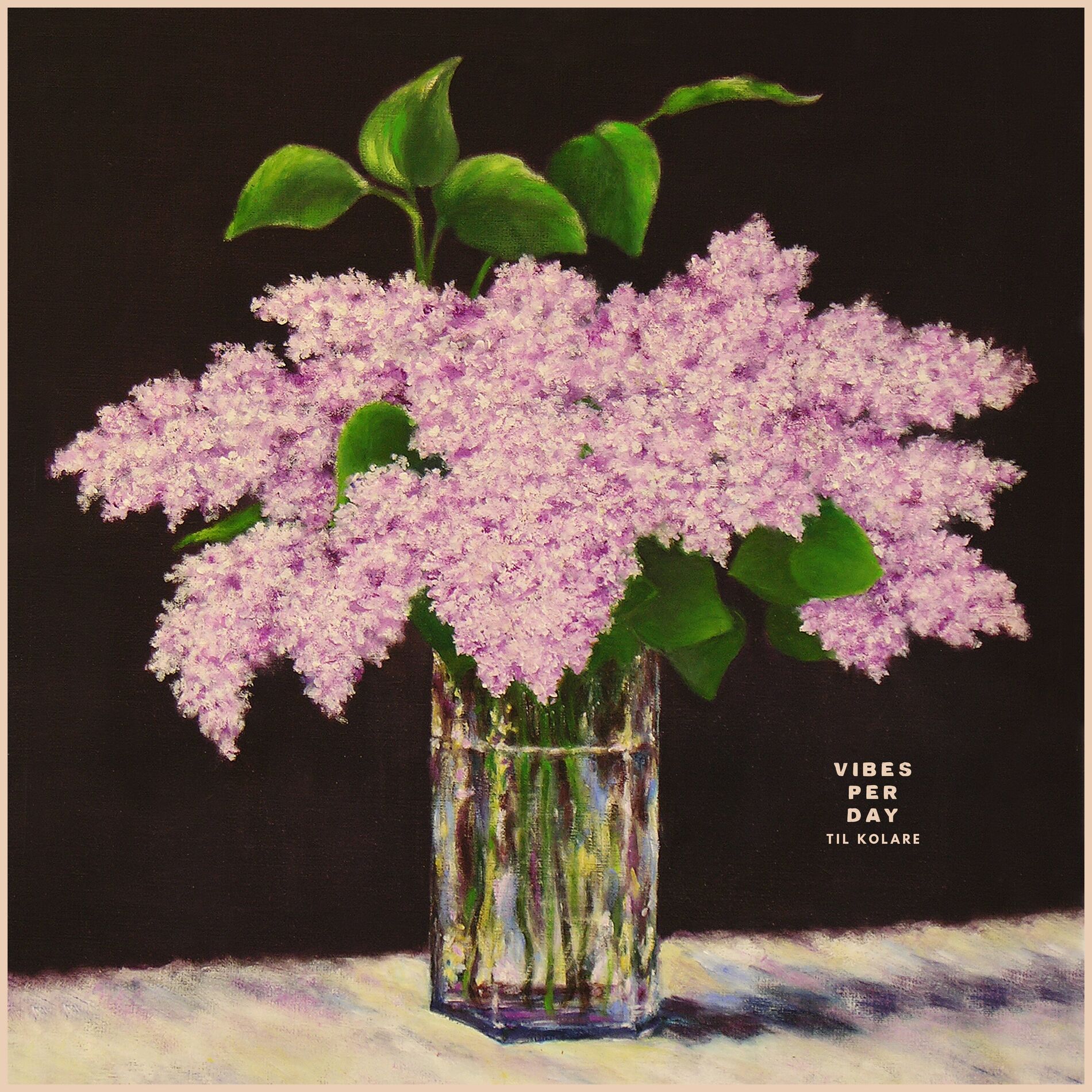 Album cover of Vibes Per Day