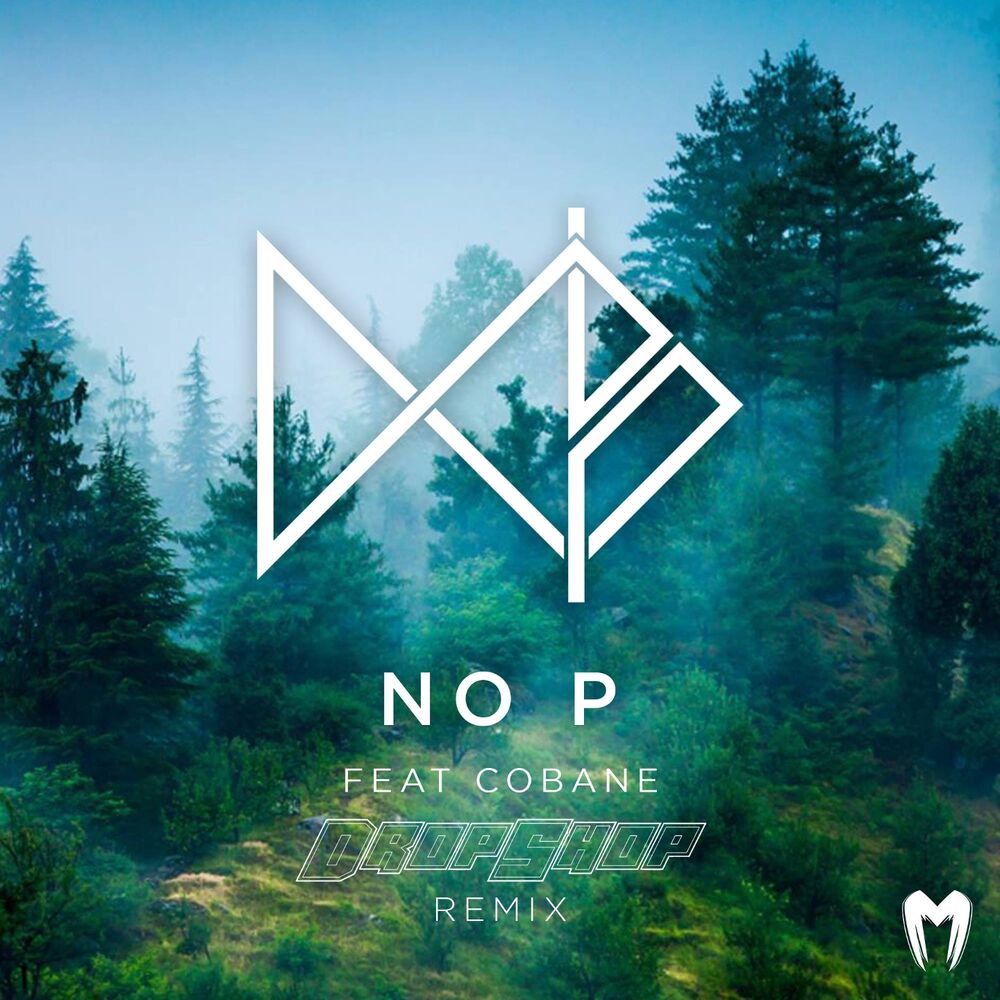 Picture of No P