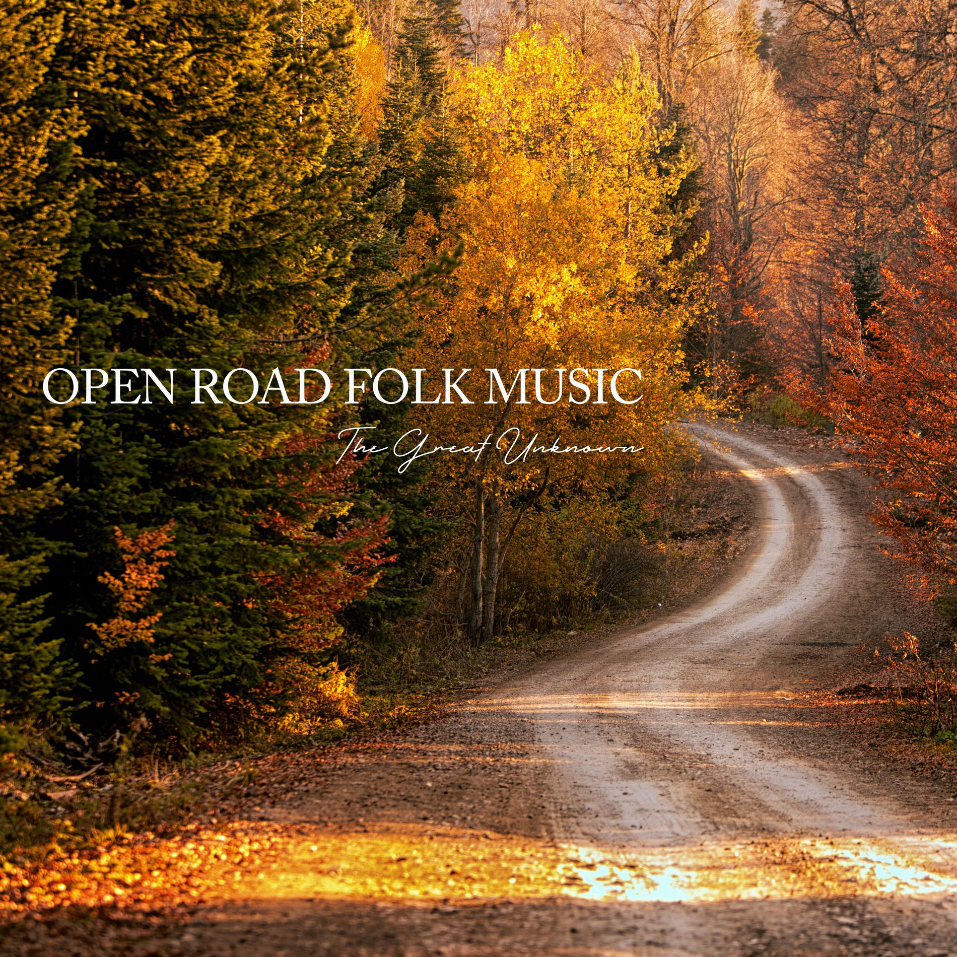 Album cover of The Great Unknown