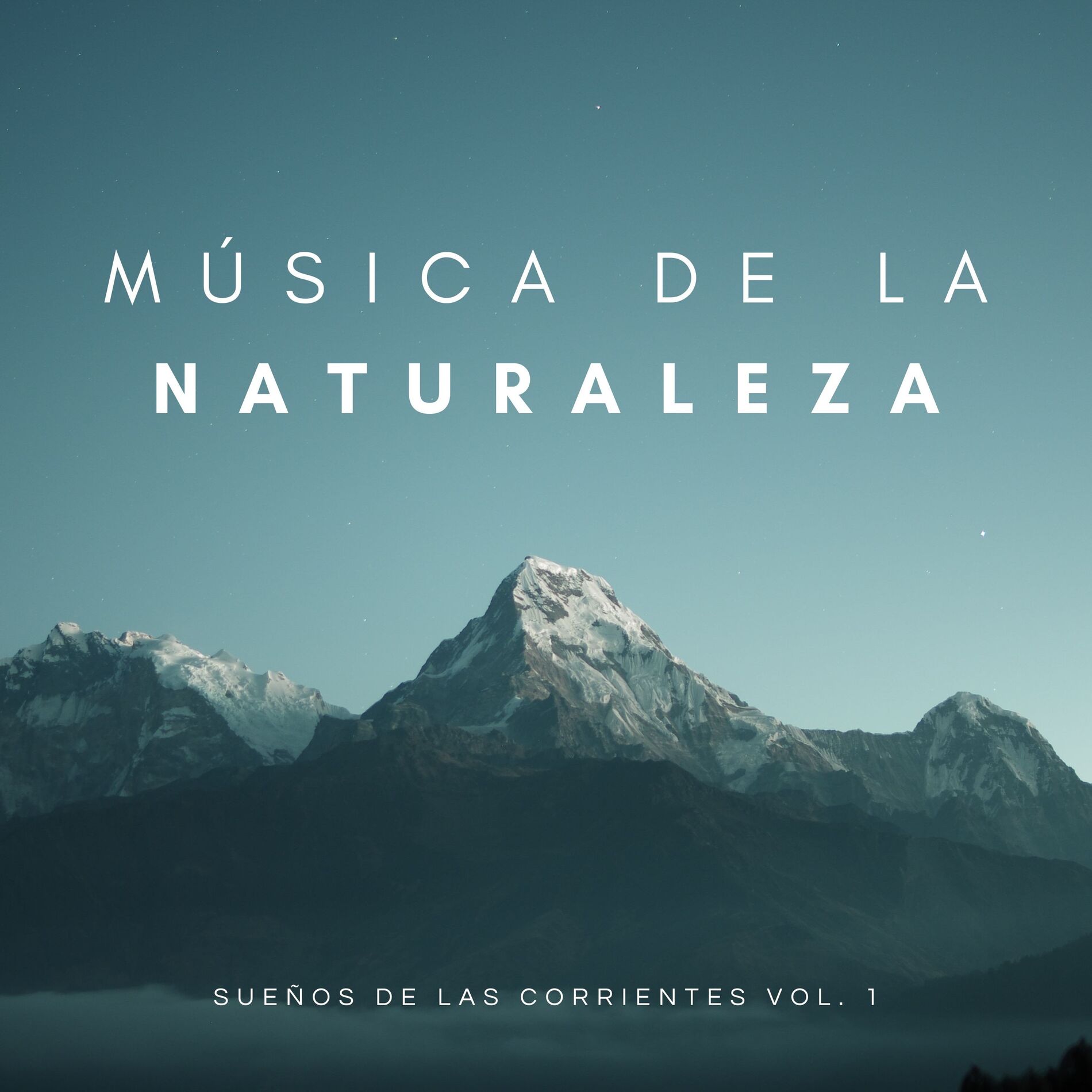 Album cover of Música De La Naturaleza: Sonidos Del Agua Del Rio Vol. 1