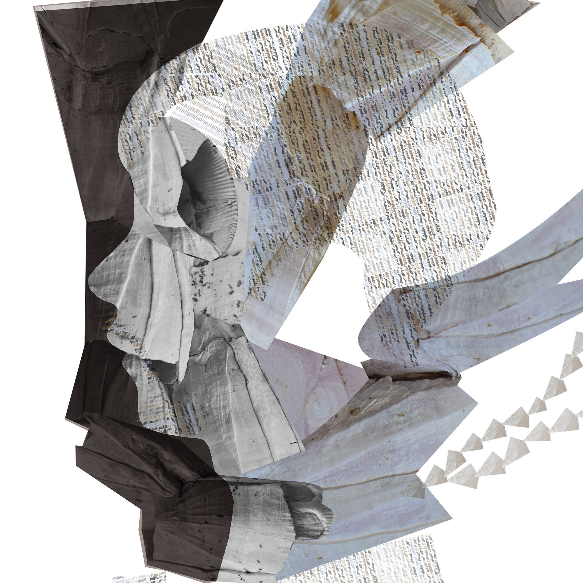 Album cover of Beat Anthology 2006 - 2012