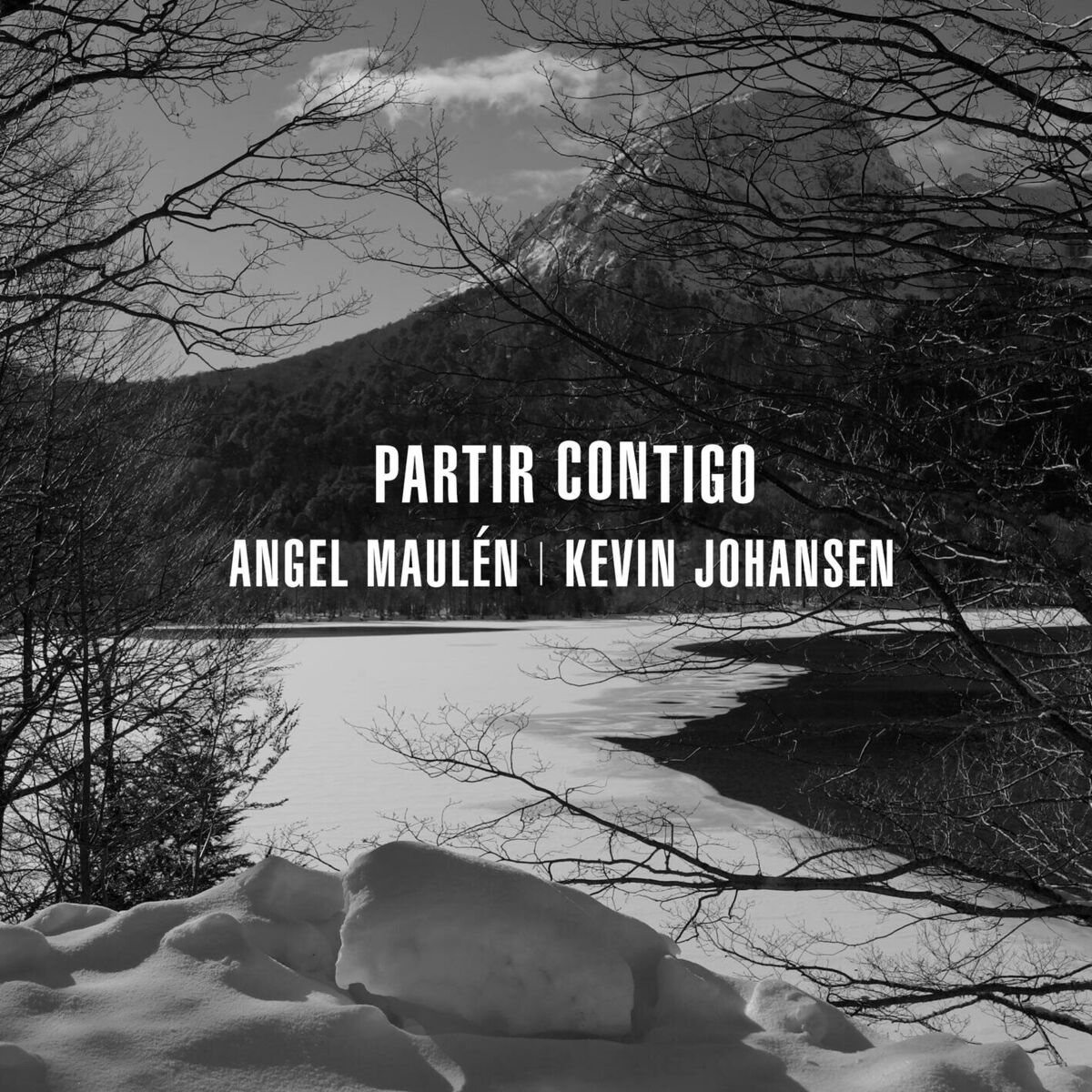 Album cover of partir contigo