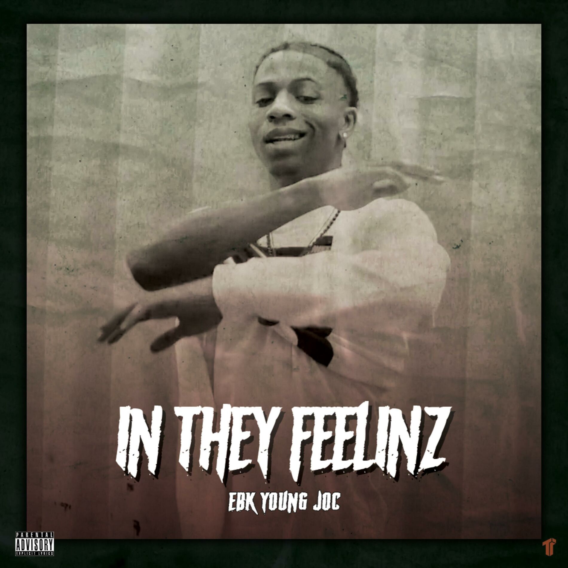 Album cover of In They Feelinz
