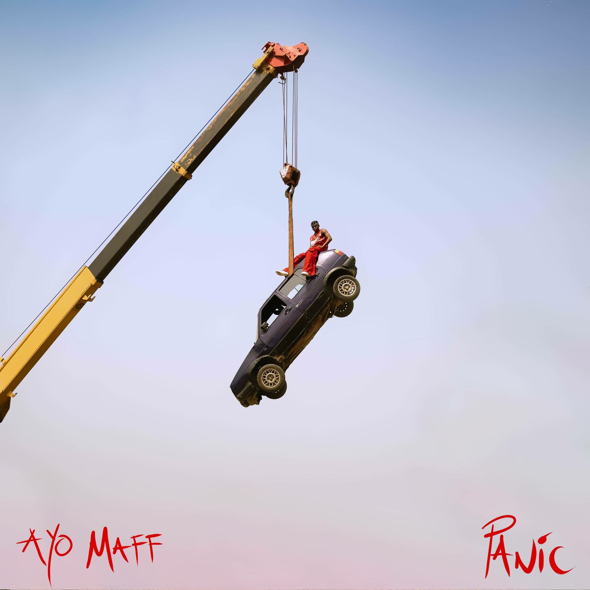 Album cover of Panic