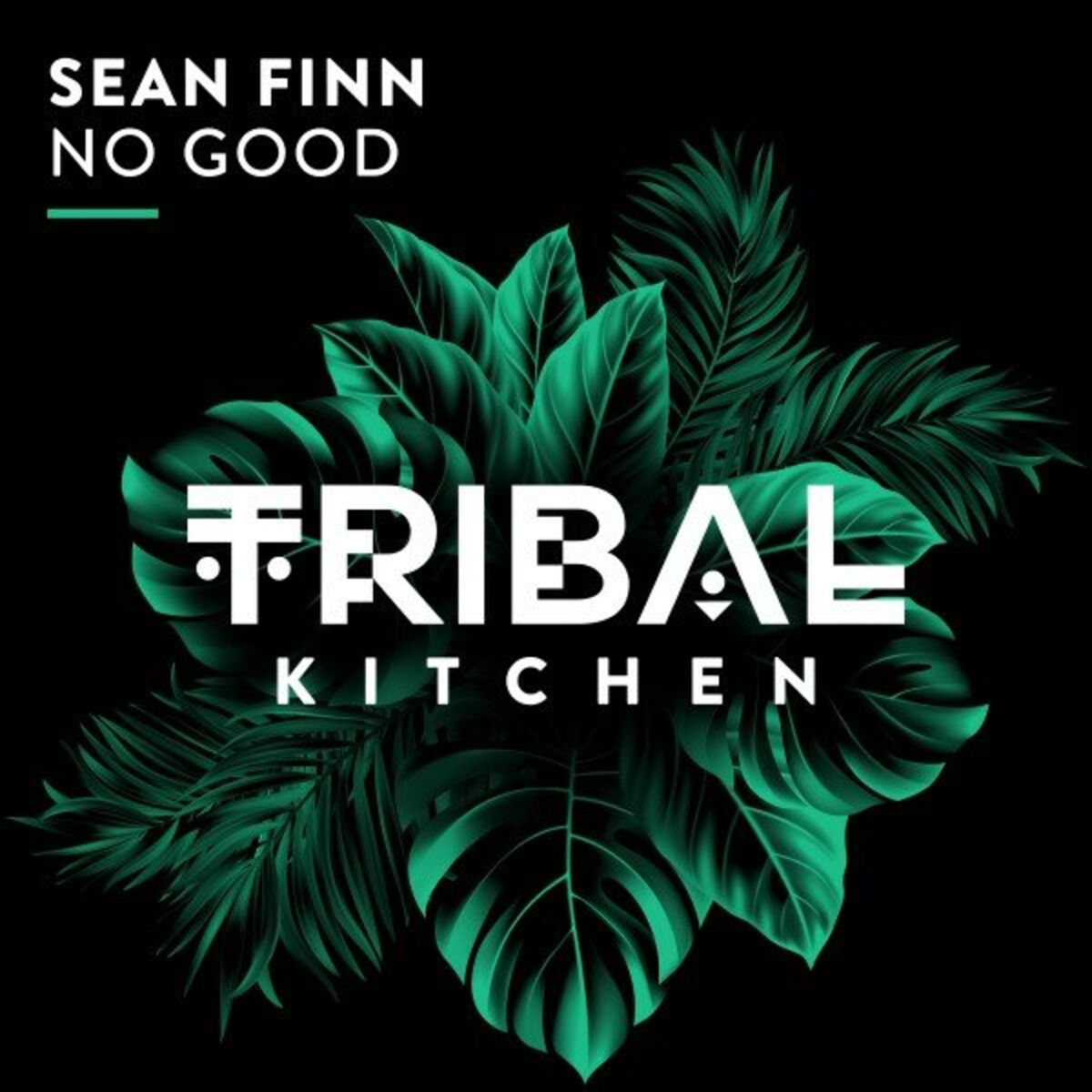 Album cover of No Good