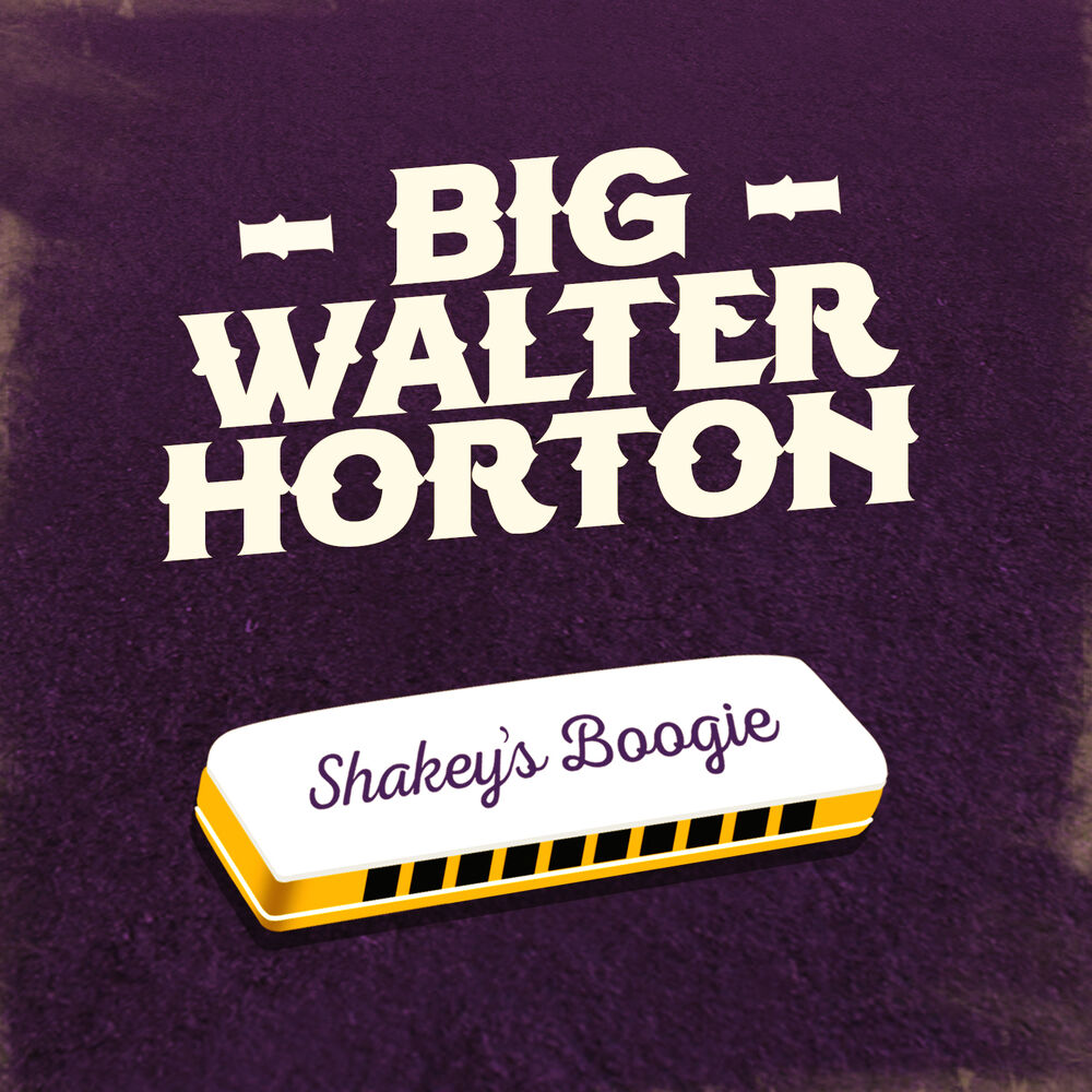 Picture of Shakey's Boogie