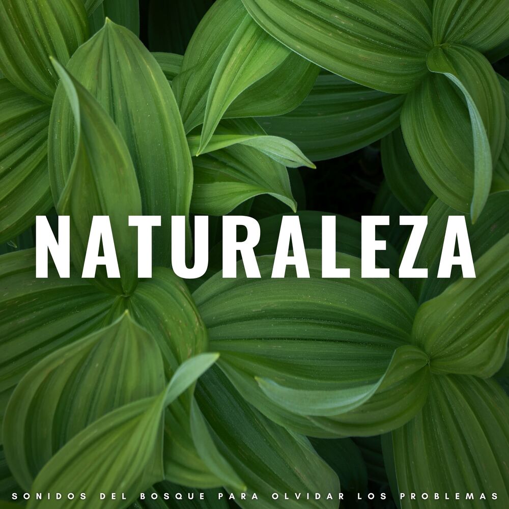 Picture of Naturaleza: Sonidos Del Bosque Para Olvidar Los Problemas