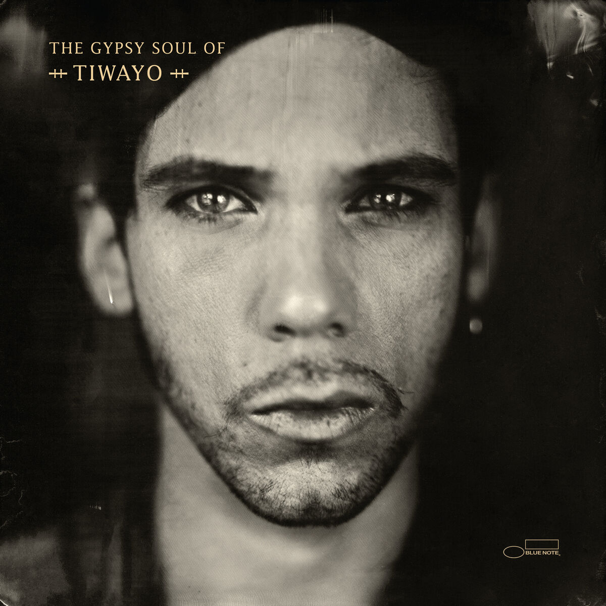Album cover of Wild