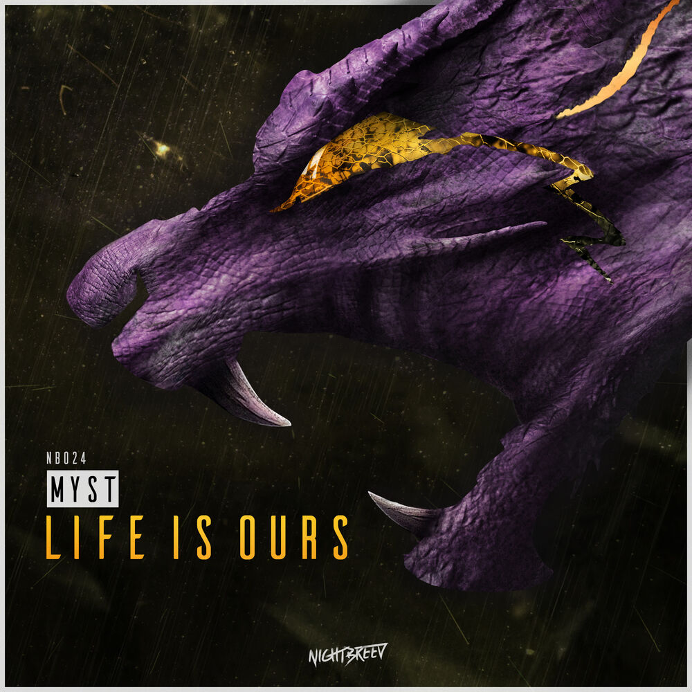 Picture of Life Is Ours
