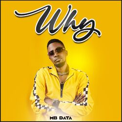 Cover of Why