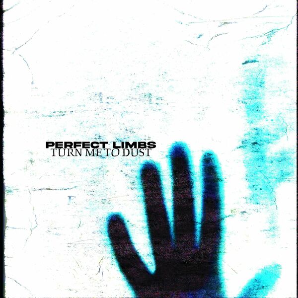 Perfect Limbs - Turn Me To Dust [single] (2025)
