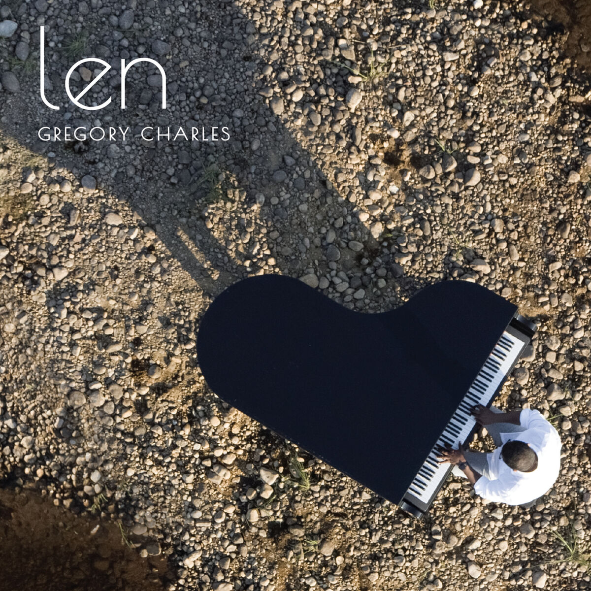 Album cover of LEN