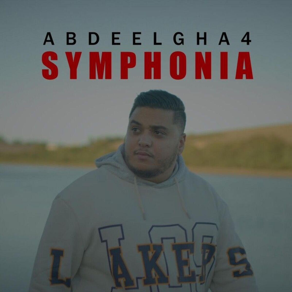 Album cover of Symphonia