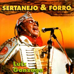 Cover of Sertanejo & Forró