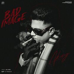 Cover of Bad Image