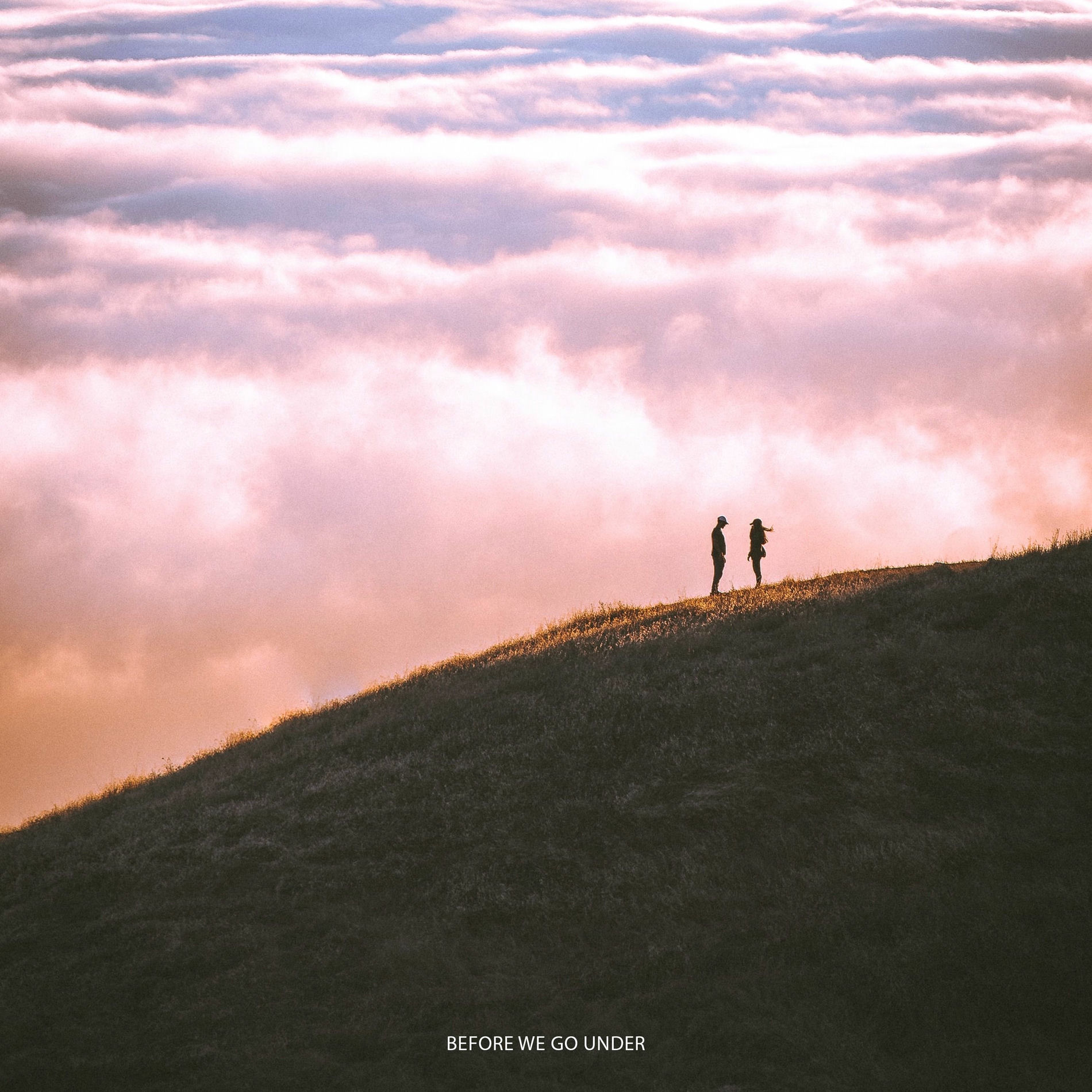 Album cover of before we go under