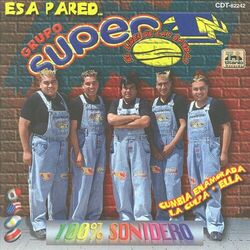 Cover of Esa Pared