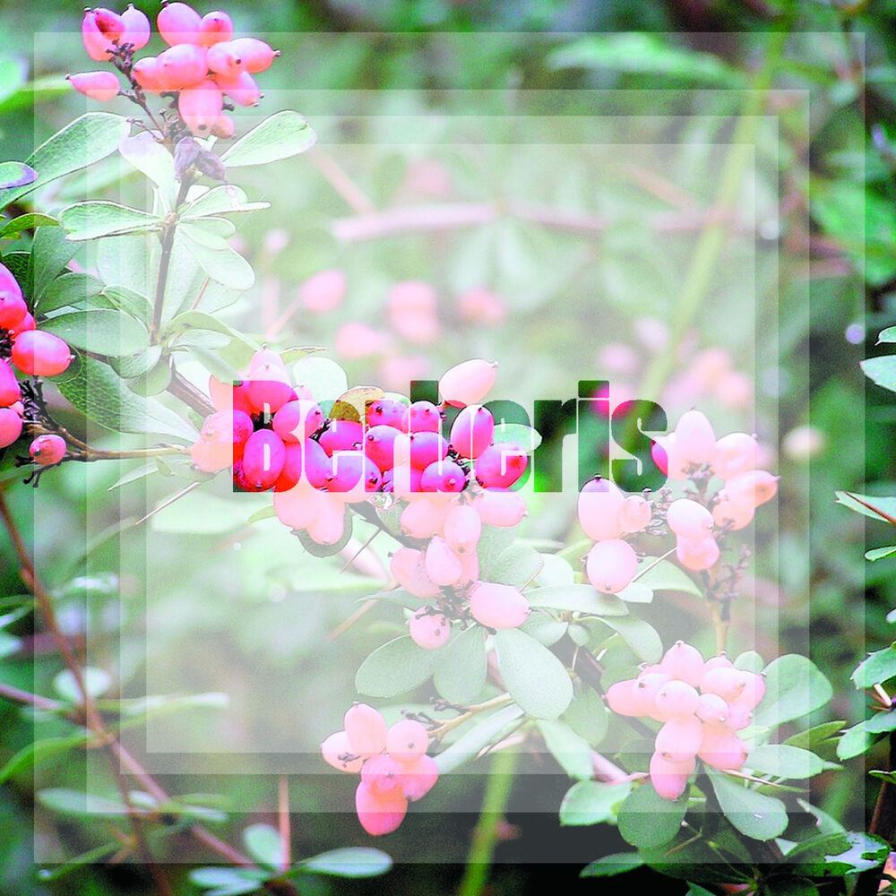 Picture of Diamond EP
