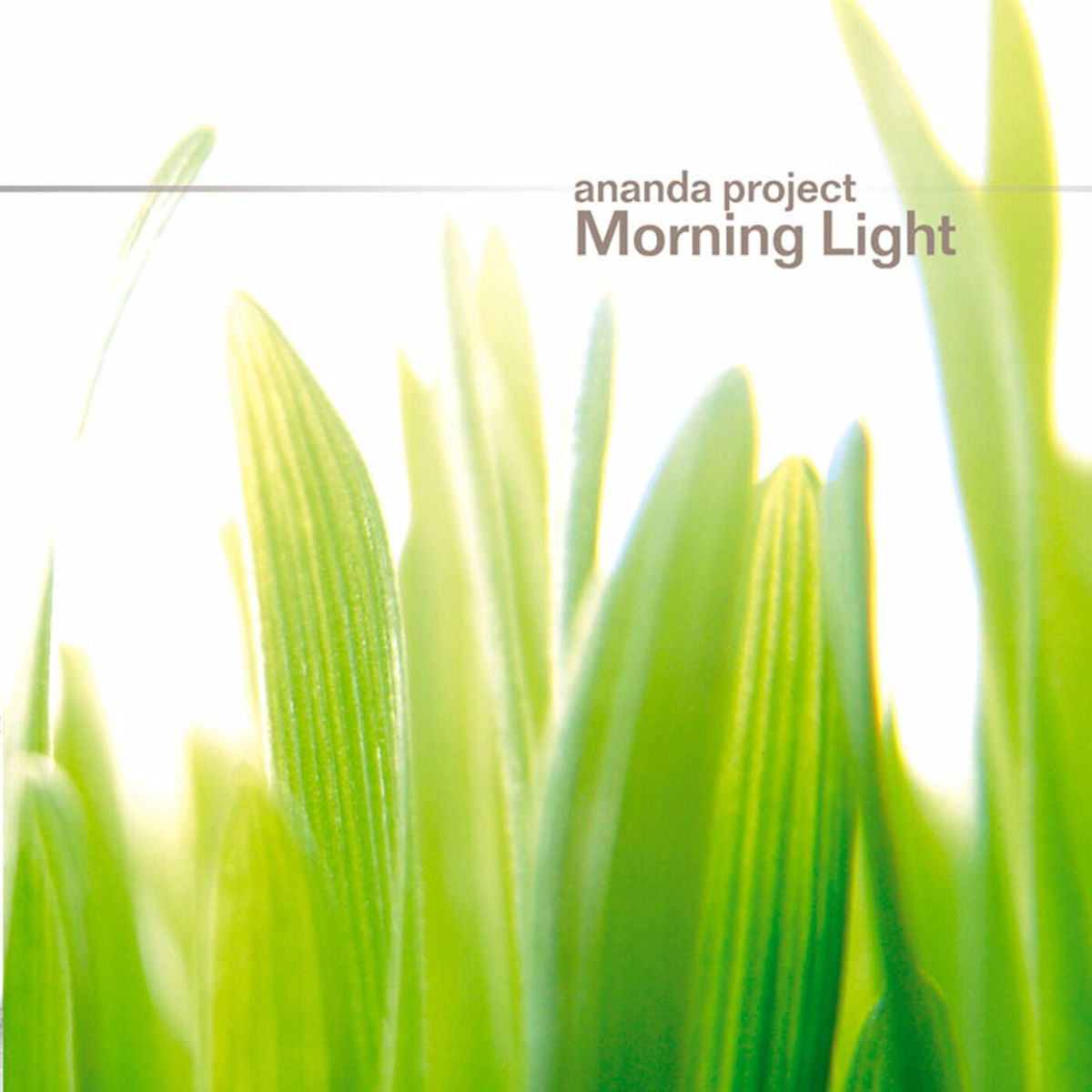 Album cover of Morning Light