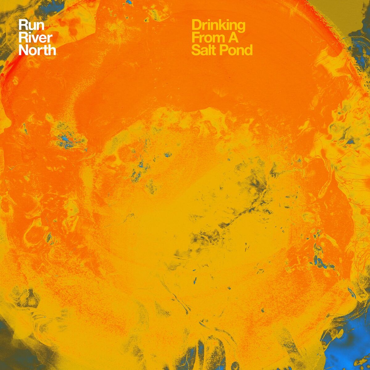 Album cover of Drinking From a Salt Pond